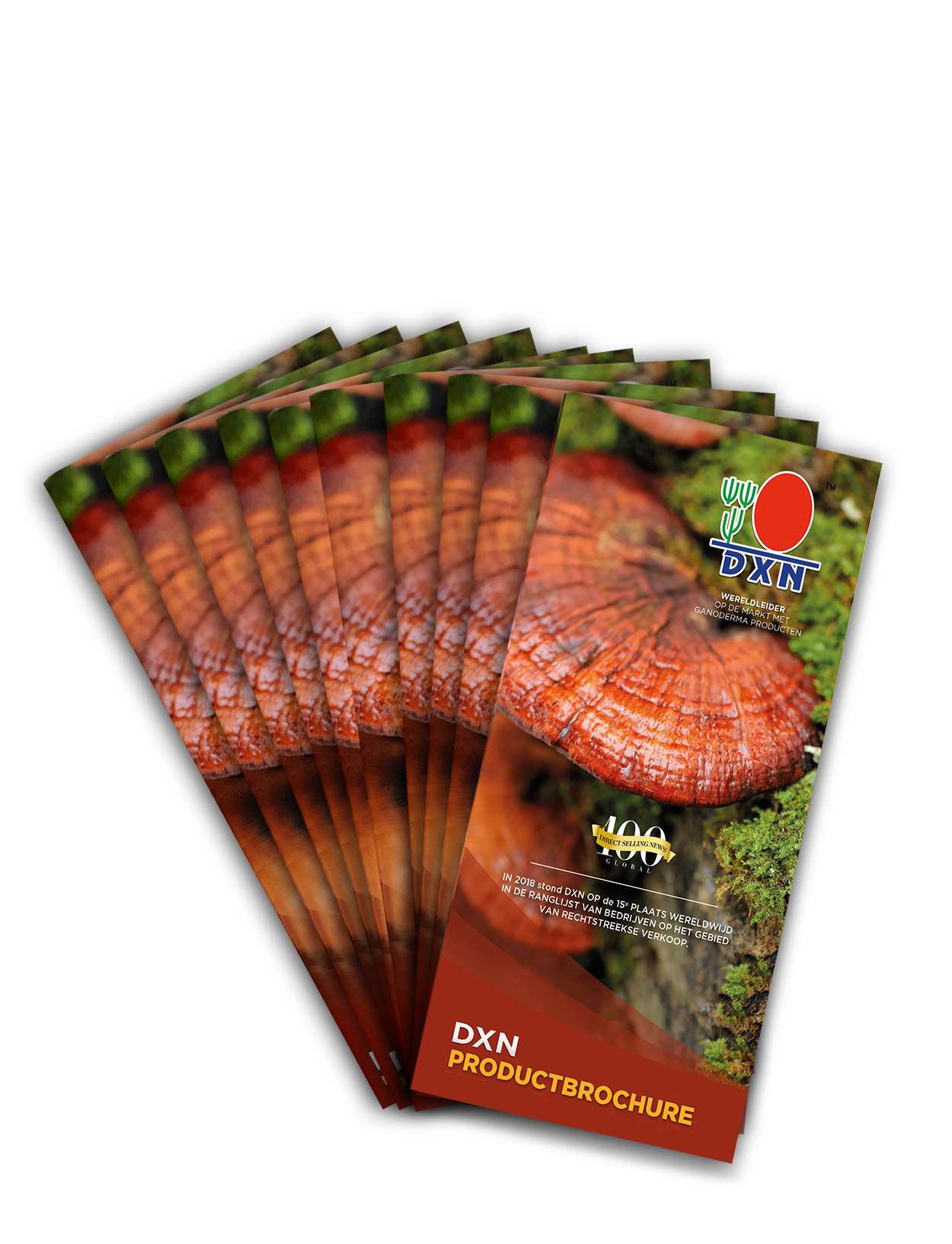 European Products Catalogue - Slovak (Set)
